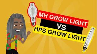 MH vs HPS Grow Lights