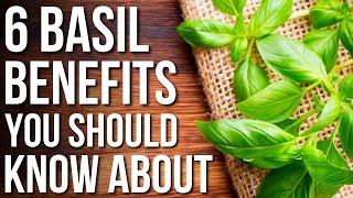 6 Basil Benefits You Should Know! | Health benefits Of Basil And Uses