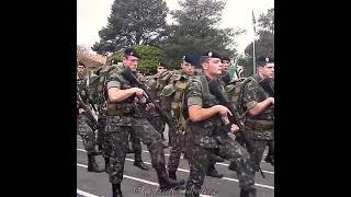 STATUS MILITAR(Exército Brasileiro)