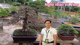 Tham quan mô hình trồng cây Bonsai tiền tỷ của Nghệ nhân Vũ Vàng ở Q.12 TP HCM