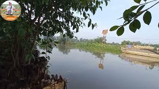 Giai Điệu Quê Hương Không Bản Quyền