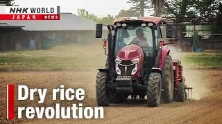 Plowing out a space for dry-field rice farmingーNHK WORLD-JAPAN NEWS