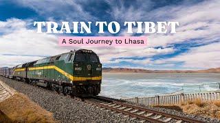 Xining to Lhasa: A Train Journey Through Tibet’s Golden Grasslands, Highest Journey in World