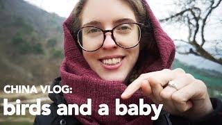 CHINA VLOG: Birds and a Baby in Ningshan, Shaanxi Province