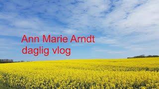 en dansk vlog (a Danish vlog)