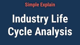 What Is Industry Life Cycle Analysis?