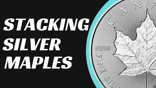 Stacking Silver Maple Leafs
