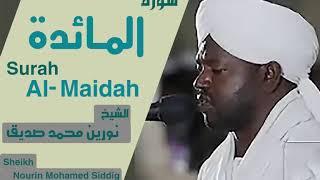 الشيخ نورين محمد صديق سورة المائدة Sheikh | Nourin Mohamed Siddig | Surah Al-Maidah