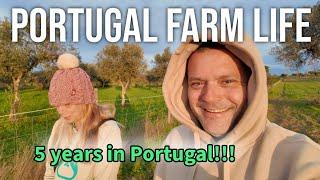 5 Years on Our Farm in Portugal: Facing Challenges and Cherishing Memories