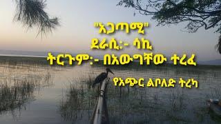 #Ethiopia አጋጣሚ / የአጭር ልብወለድ ትረካ /New amharic narration/ 2021