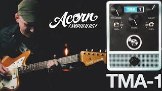 Demos in the Dark // Acorn Amplifiers TMA-1 // Fuzz Pedal Demo