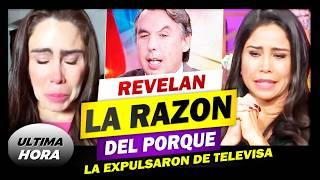  ¿Por qué DESPIDIERON a Paola Rojas de TELEVISA?  no creeras Los motivos 