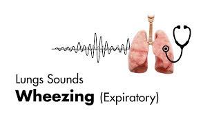 Wheezing (expiratory) - Lung Sounds - MEDZCOOL