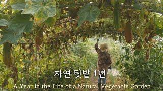 One Year of a Small Organic Vegetable Garden | 45 Crops Planted and Harvested in a Farming Journal