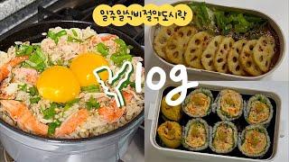 가성비넘치는 일주일 점심도시락게딱지장솥밥, 양파카레, 연근튀김, 계란말이김밥