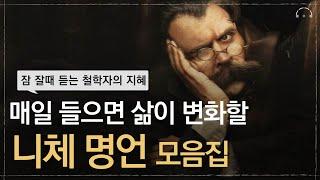 인생에 한번은 니체를 만나야 한다 | 잠 잘때 듣는 니체 명언 모음 | 혼자일 수 없다면 나아갈 수 없다 | 오디오북