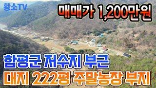 [전남토지매매] #1569 함평군 대동면 저수지 부근 734㎡ (222평) 주말농장 & 농막 부지 매매가 1,200만원