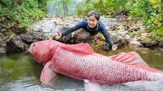 Harvesting MUTANT CATIFISH go to market sell | Susan Daily Life