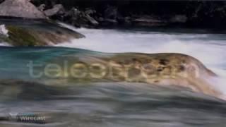 Evan Burnett Live Stream