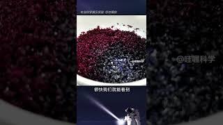 氯化钴漂亮的变色实验  #趣味科普 #科普 #知识分享官