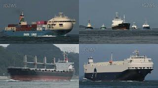 30分間まるごと貨物船 - 2021年夏- Shipspotting in Japan Cargo ships 30min 2021SUMMER