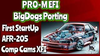 Fox Body Mustang  - Build, First startup, Pro M EFI, Bigdogs Porting, AFR 205 heads Comp XFI