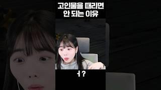 [GTA 요양타운] 고인물을 때리면 안 되는 이유 #shorts