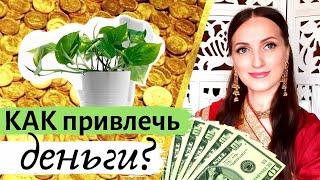  РАСТЕНИЕ для привлечения ДЕНЕГ и БОГАТСТВА I Васту  10 преимуществ