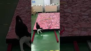 What are the characteristics of the interactive LED floor tile screen? #leddisplay #shortvideo#led