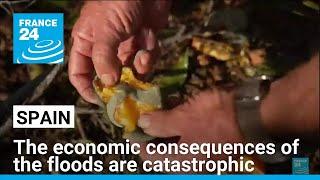 The economic consequences of the floods in Spain are catastrophic • FRANCE 24 English