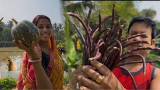 My Family Vlog Garden Review | দেখুন আমাদের জমিতে এখন কি কি ফসল আছে আর শীতের কি কি ফসল লাগানো হলো ||