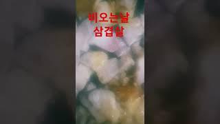 비오는날 삼겹살 비오는날 맛집 먹방 고기 삼겹살 오겹살 mukbang korean mukbang tirp in korean eatingshow ASMRfood korean food