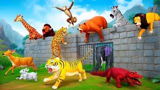 The Great Escape: Zoo Animals' Escape Adventure - Climbing the Long Fence to Freedom