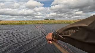 Salmon Fishing on the River Thurso day 5