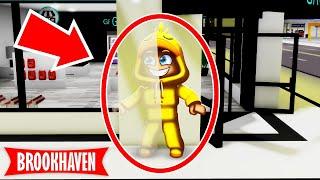 Ik CHEAT In VERSTOPPERTJE Voor 24 UUR In Brookhaven! (Roblox)