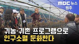 2023. 4. 27 [원주MBC] 귀농·귀촌 프로그램으로 인구소멸 둔화한다