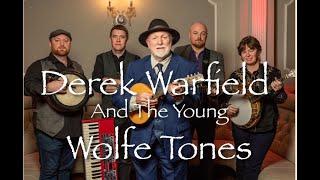 The Fields Of Athenry by Derek Warfield & The Young Wolfe Tones