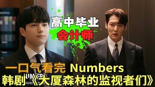 高中毕业入职顶级会计师事务所，只为寻找真相，韩剧《Numbers : 大厦森林的监视者们》一口气看完