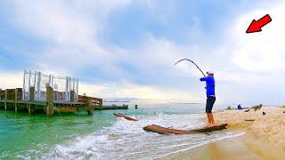 Tossed a Bait Under This PIER and Caught Dinner!