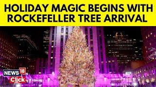 Famous Rockefeller Center Christmas Tree Arrived In New York City On Nov. 9th | News18 | N18G