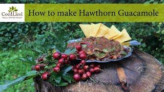 How to make Hawthorn Guacamole | Coed Lleol (Small Woods Wales)