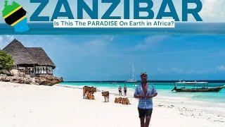 My SHOCKING First Impressions of Zanzibar  | What No One Tells You!