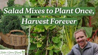 9 Delicious Salad Greens You Only Plant Once! Plant Once, Pick Forever! Part 1