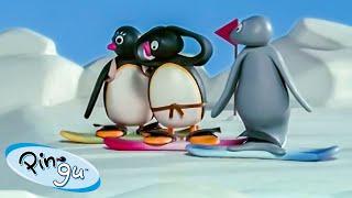 Pingu Has Fun with his Friends!  | Pingu - Official Channel | Cartoons For Kids