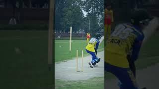 Shattering the Stumps !!  #cricket #phonk