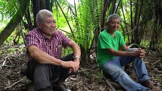 Is the Maya Forest Garden the key to sustainable agriculture?