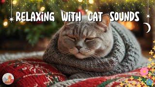 Music For Cats  Relaxation | Sleep Deep | Soothing Music  Christmas Music for Cats