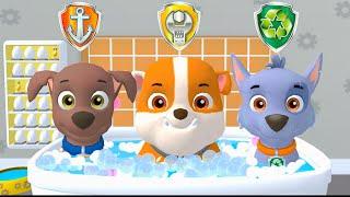 PAW Patrol - A Day in Adventure Bay - Zuma & Rubble & Rocky - Nick. Jr HD @PawPawGo