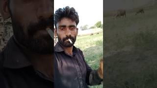 @akela munda#funny #short #video #baddy #mahnat #foryou #familyvlog #viralshorts @Unfresko #green