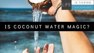 All You Need To Know About Coconut Water